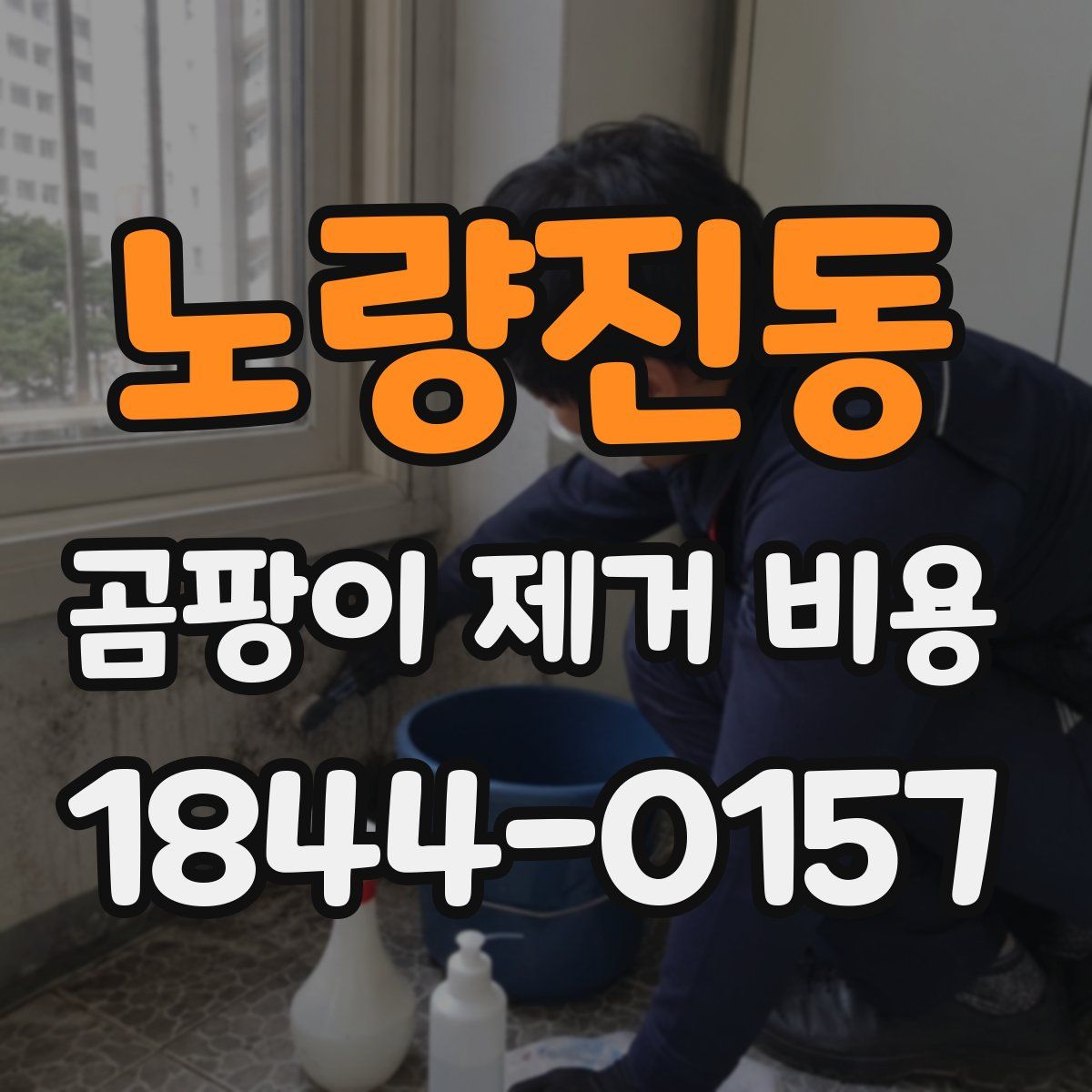 노량진동 곰팡이 제거 비용