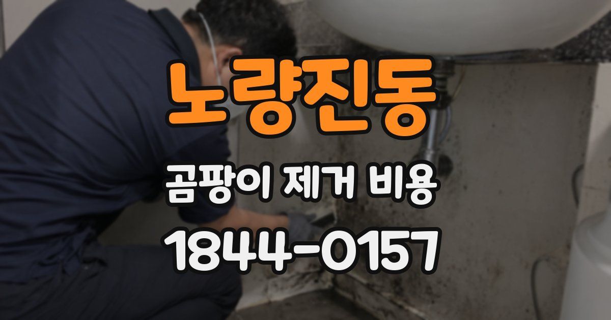 노량진동 곰팡이 제거 비용