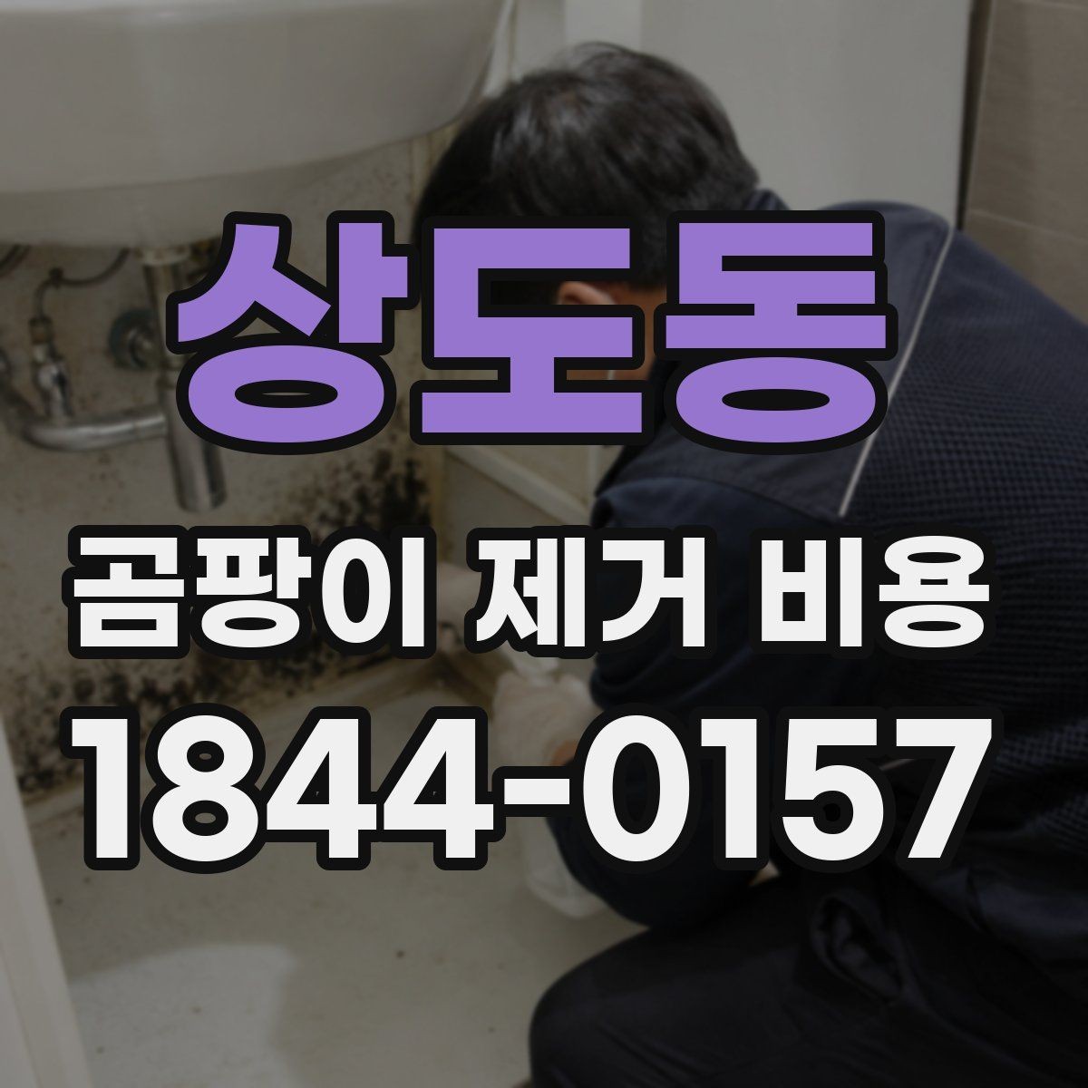 상도동 곰팡이 제거 비용 욕실 천장 오염이 넓을 때 살펴볼 항목