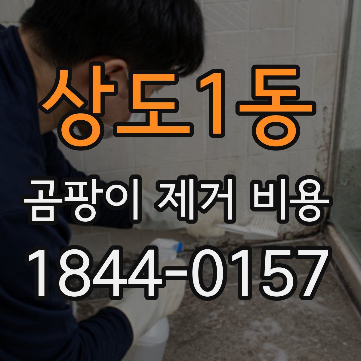 상도1동 곰팡이 제거 비용
