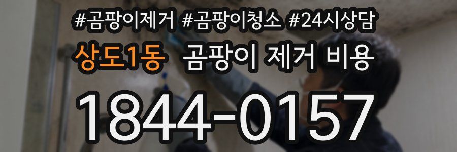상도1동 곰팡이 제거 비용