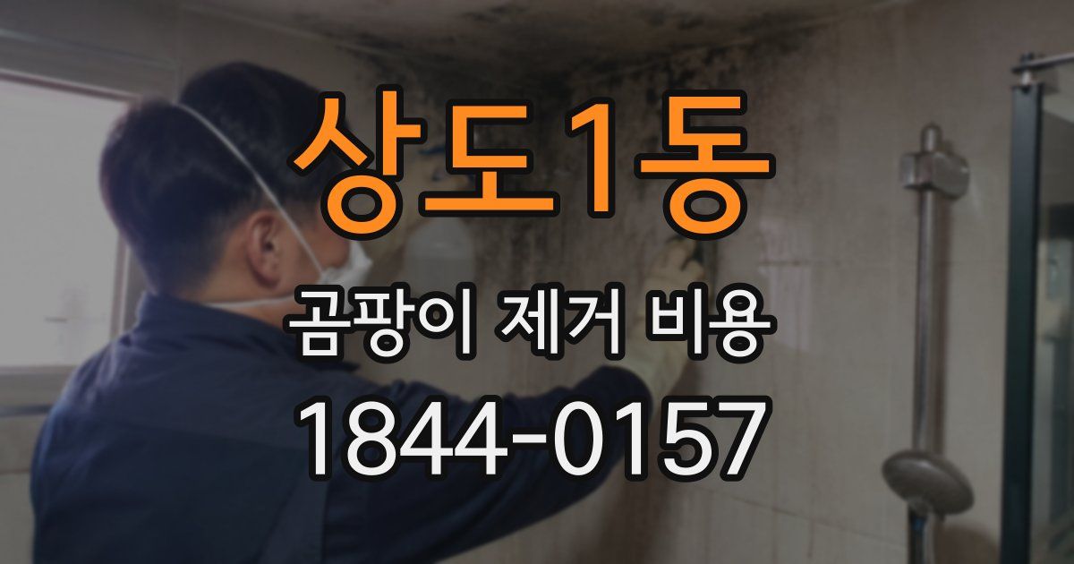 상도1동 곰팡이 제거 비용