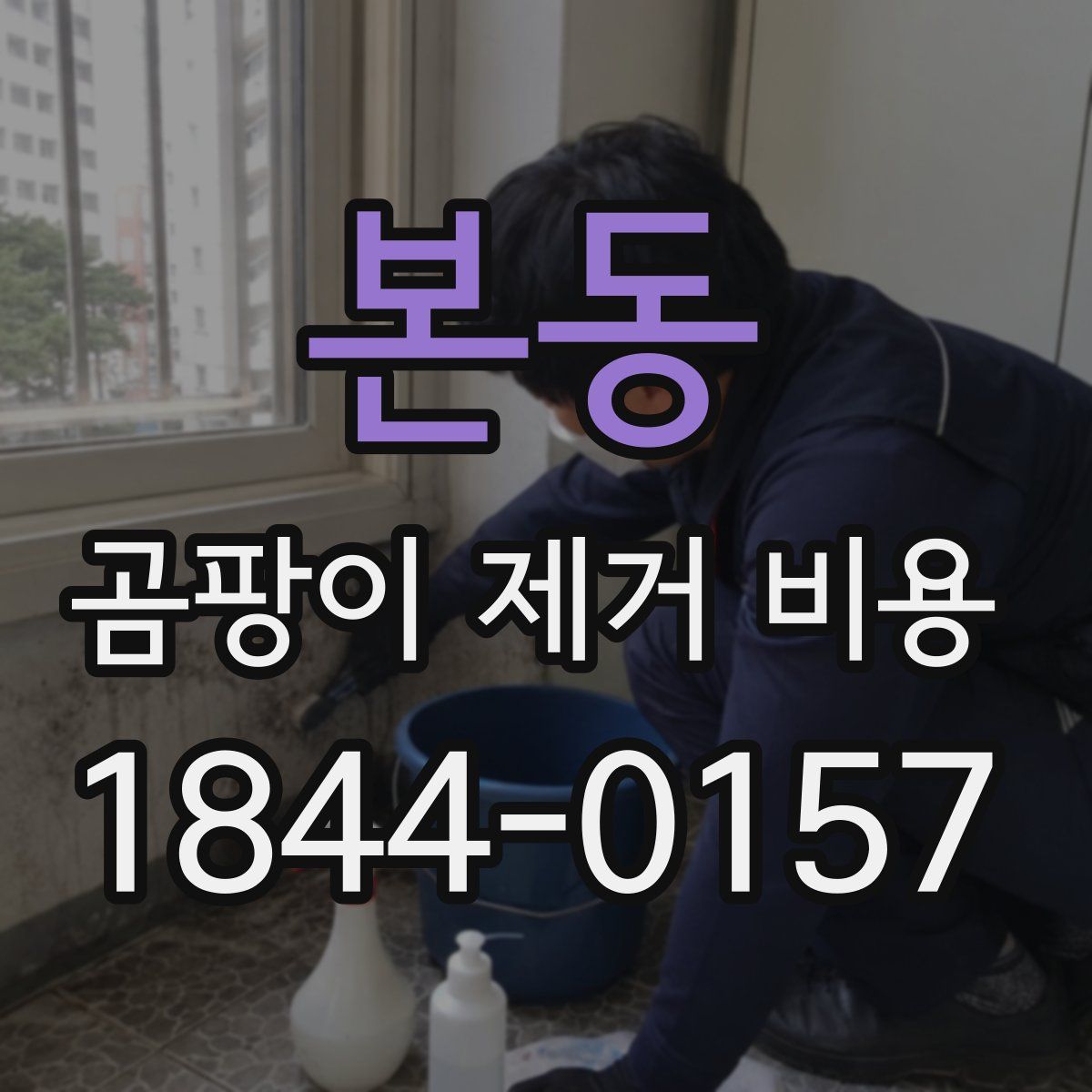 본동 곰팡이 제거 비용