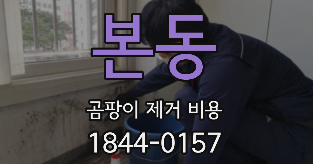 본동 곰팡이 제거 비용