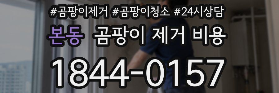 본동 곰팡이 제거 비용
