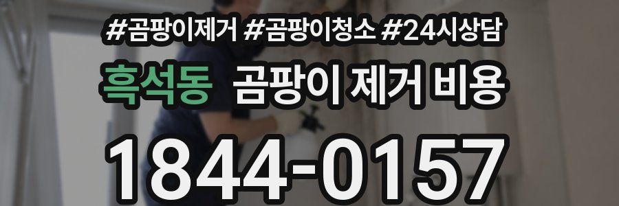 흑석동 곰팡이 제거 비용