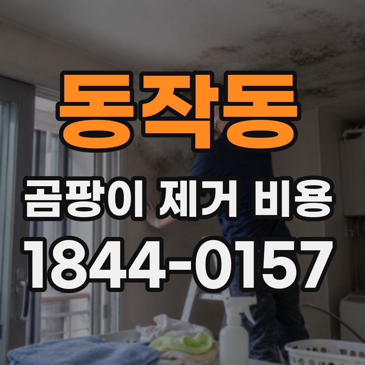 동작동 곰팡이 제거 비용 벽지 뜯는 범위가 넓어질 때 견적 포인트