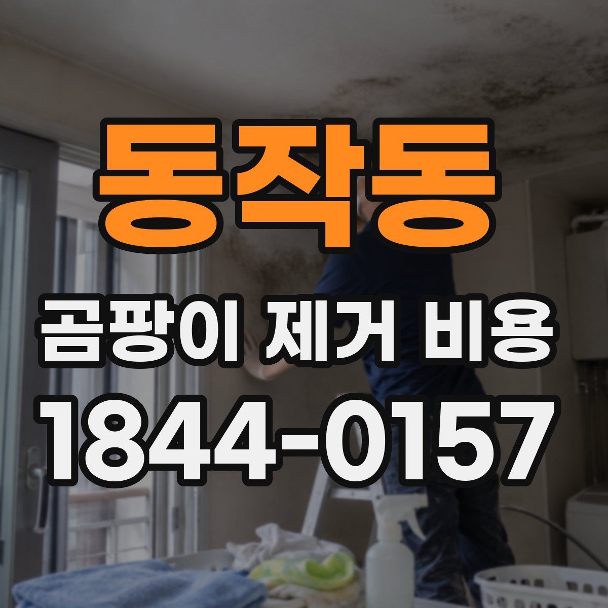 동작동 곰팡이 제거 비용