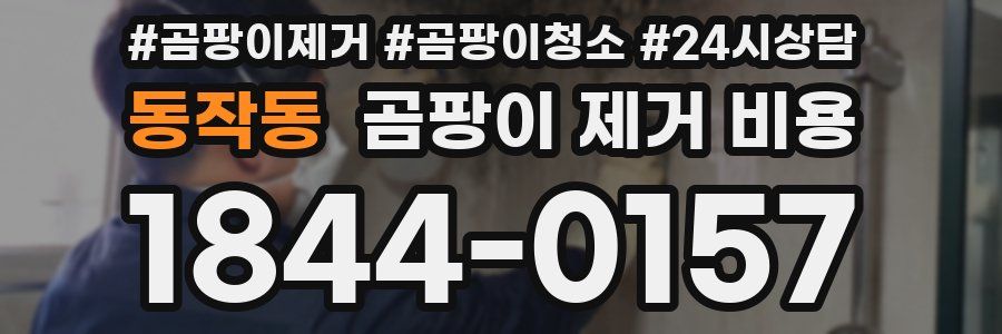 동작동 곰팡이 제거 비용