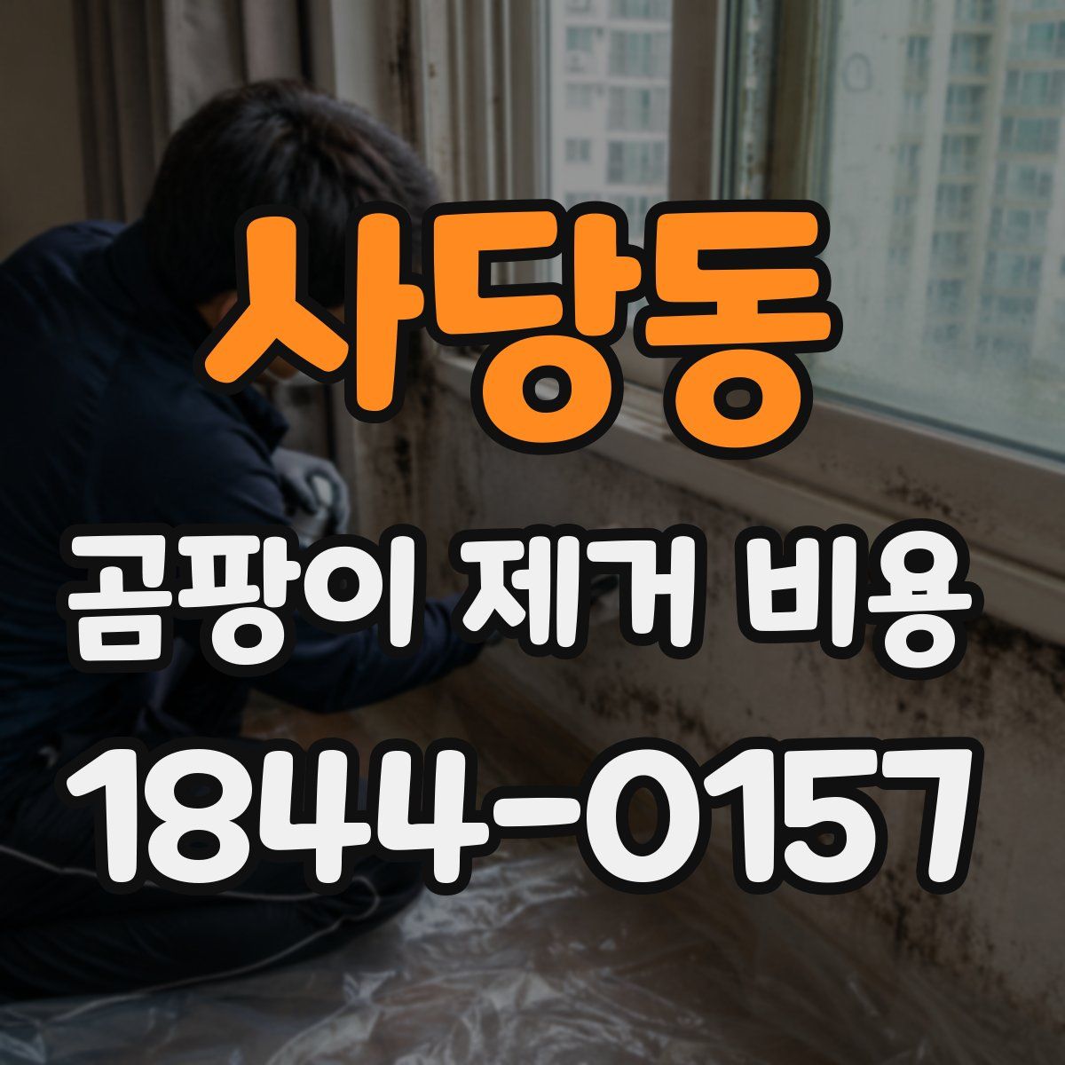 사당동 곰팡이 제거 비용