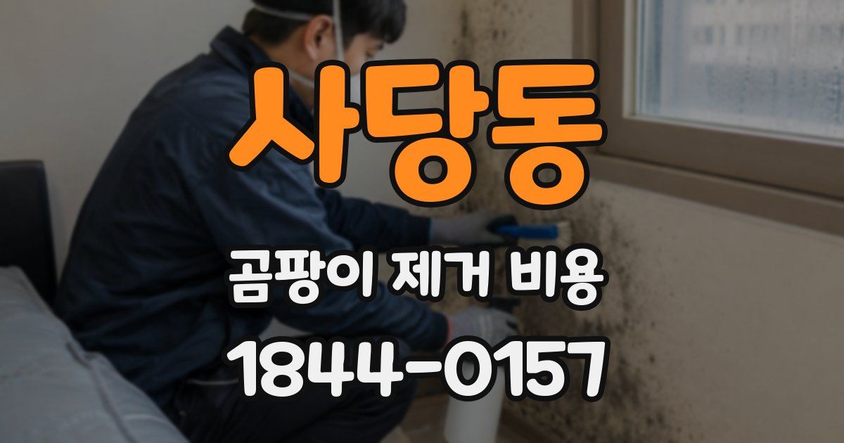 사당동 곰팡이 제거 비용