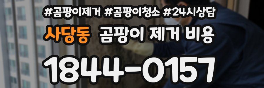사당동 곰팡이 제거 비용