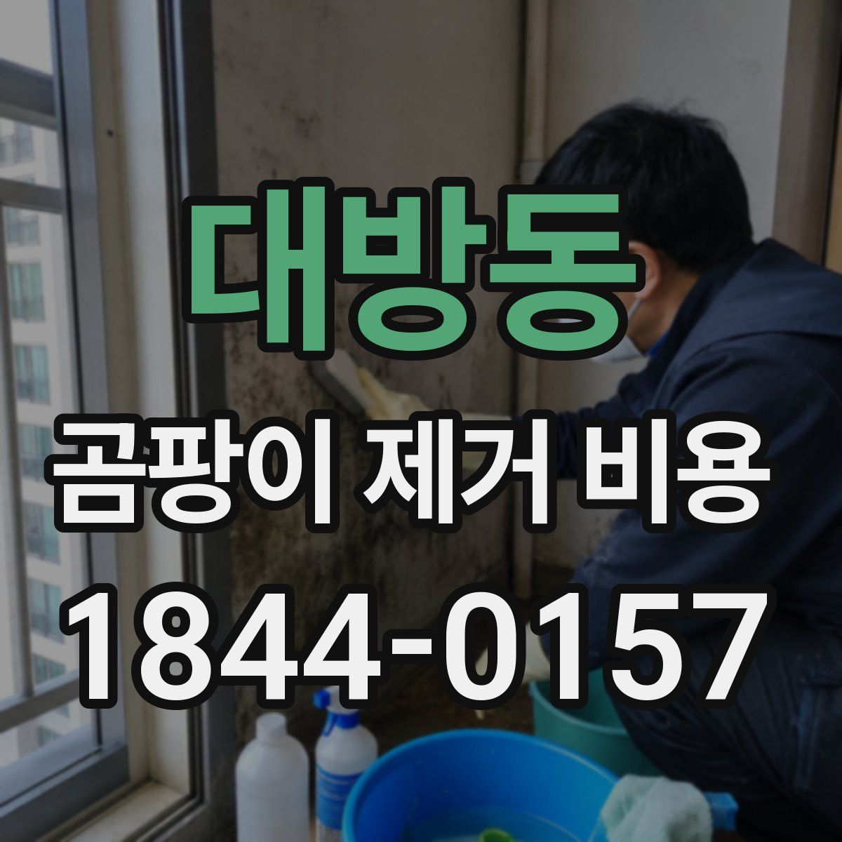 대방동 곰팡이 제거 비용