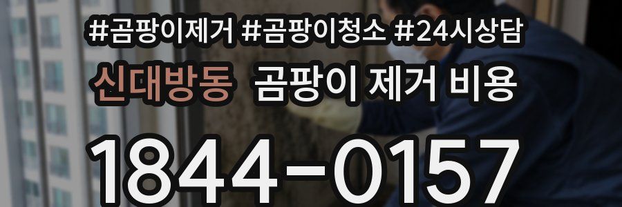 신대방동 곰팡이 제거 비용