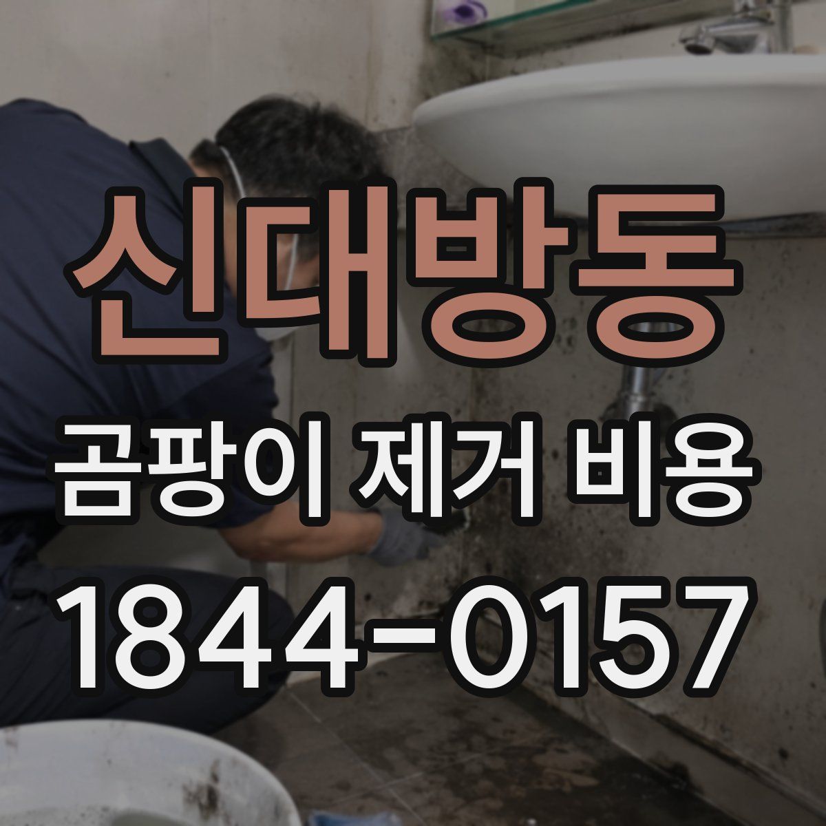 신대방동 곰팡이 제거 비용