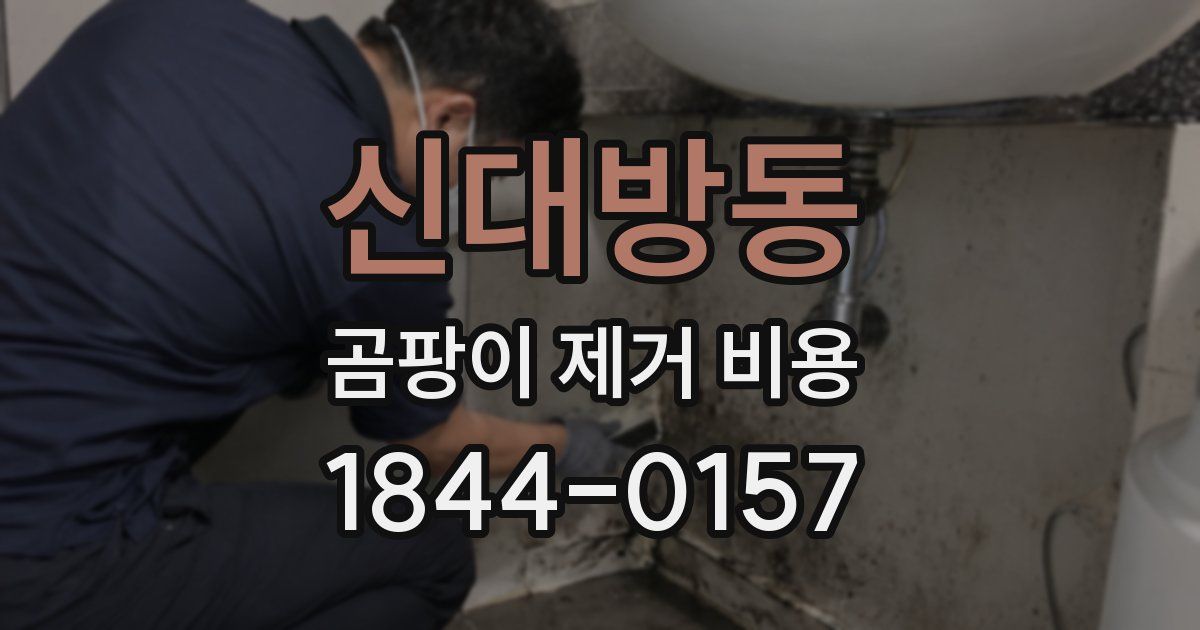 신대방동 곰팡이 제거 비용