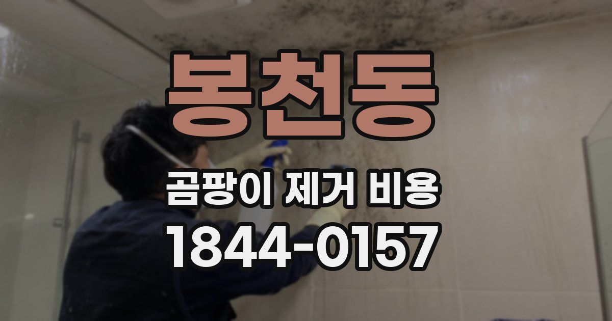 봉천동 곰팡이 제거 비용