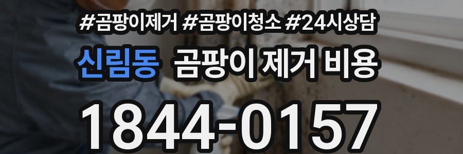 신림동 곰팡이 제거 비용