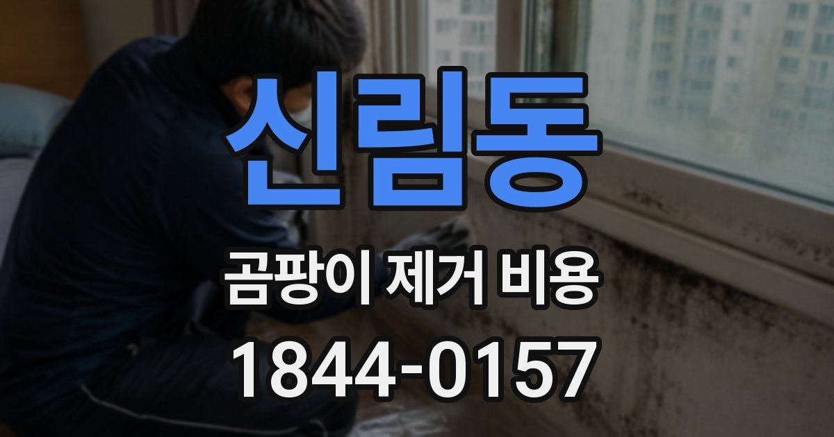 신림동 곰팡이 제거 비용