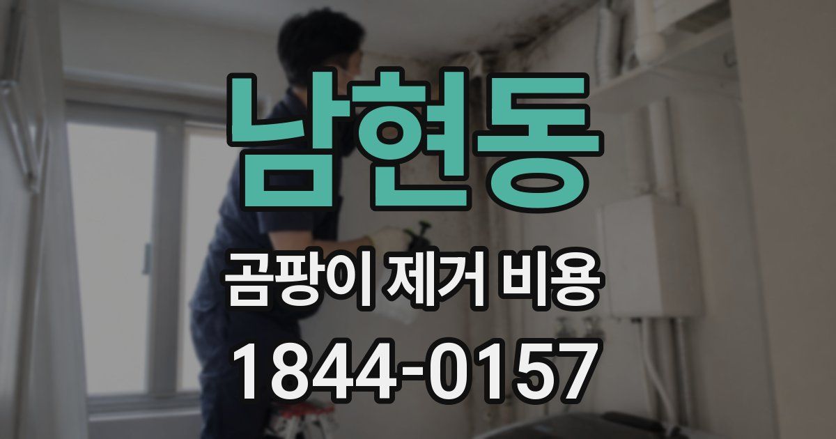 남현동 곰팡이 제거 비용