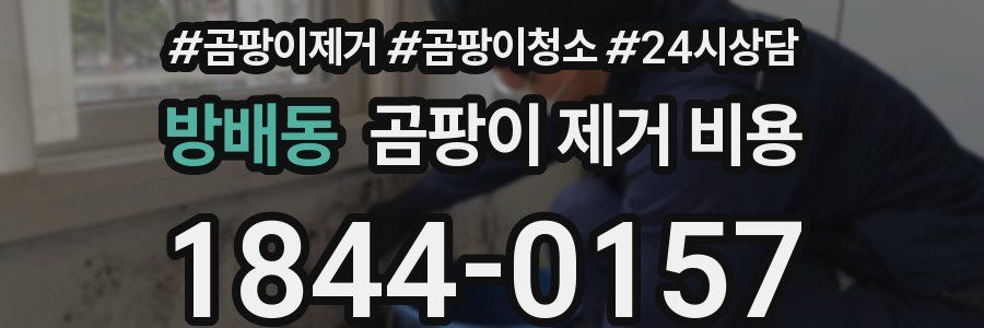 방배동 곰팡이 제거 비용