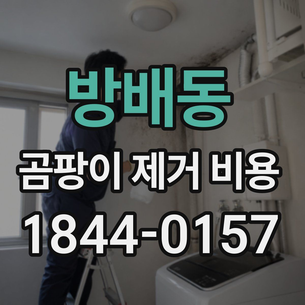 방배동 곰팡이 제거 비용