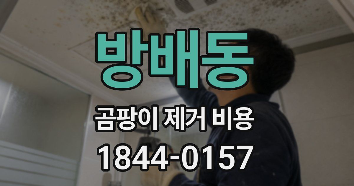 방배동 곰팡이 제거 비용