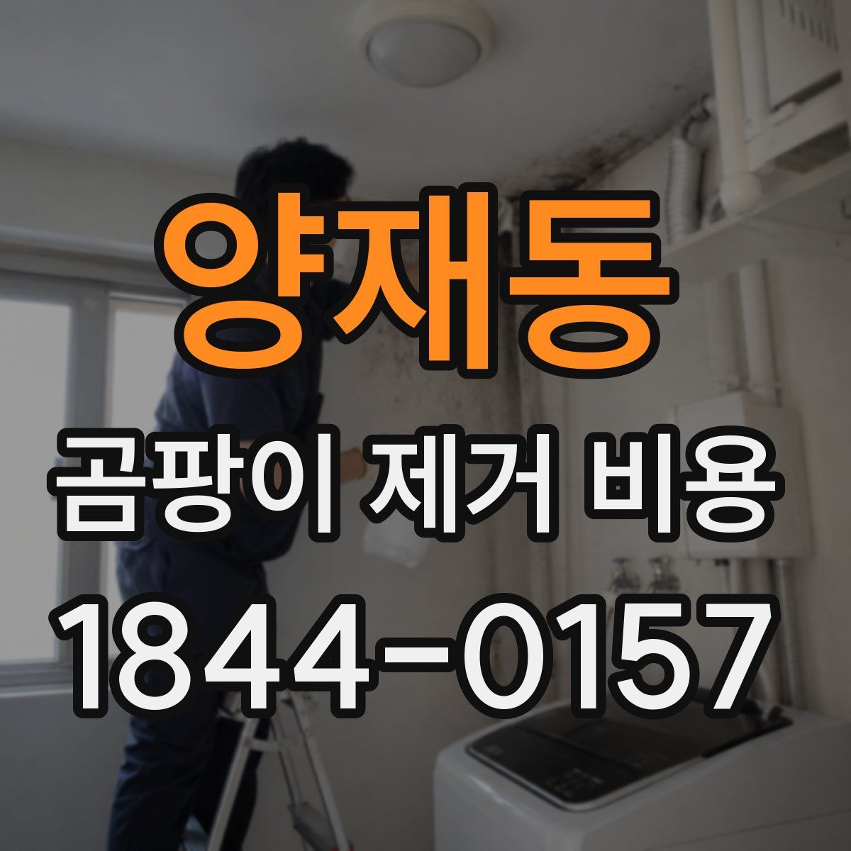 양재동 곰팡이 제거 비용