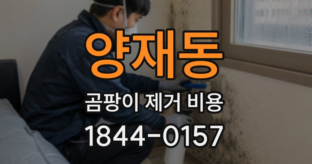 양재동 곰팡이 제거 비용