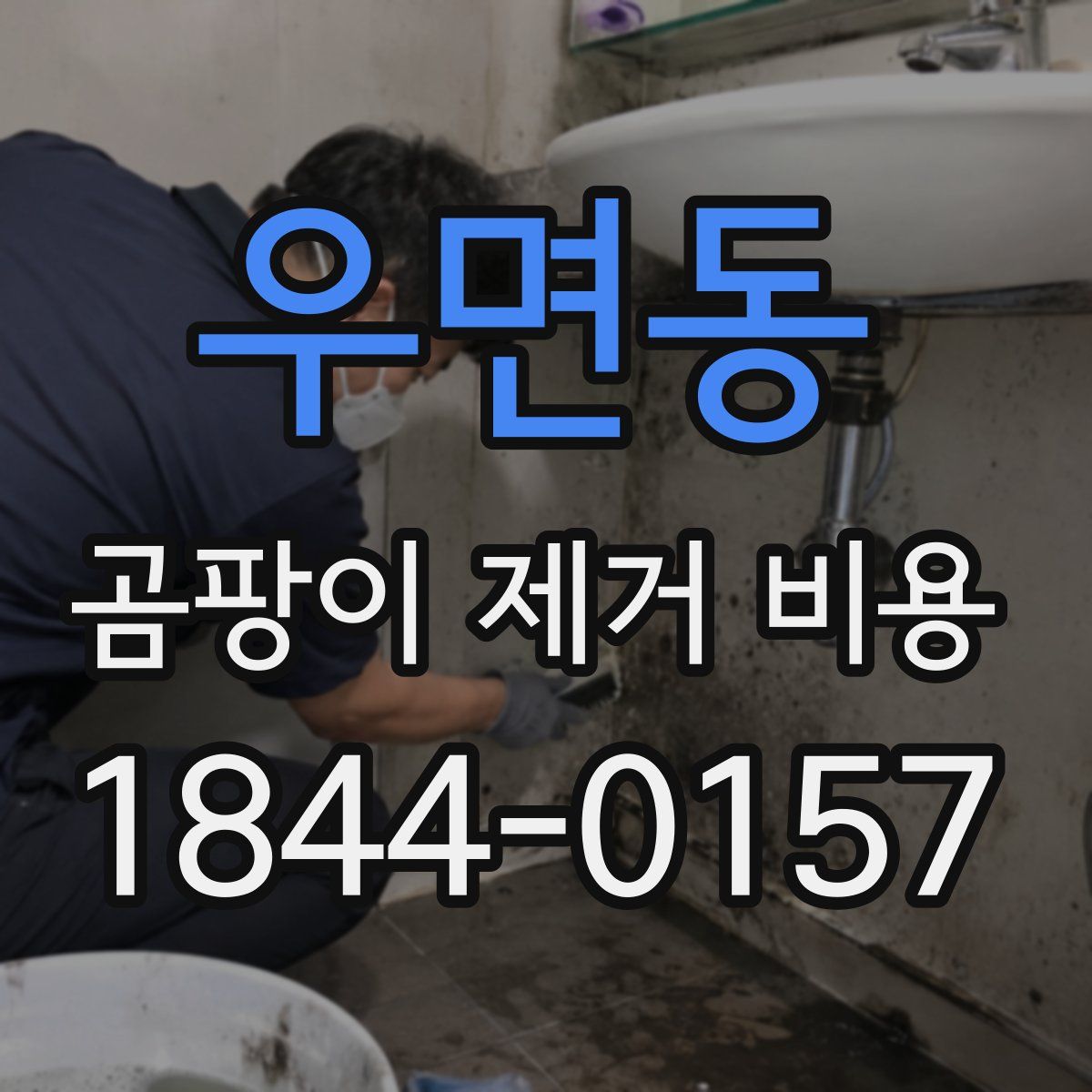 우면동 곰팡이 제거 비용
