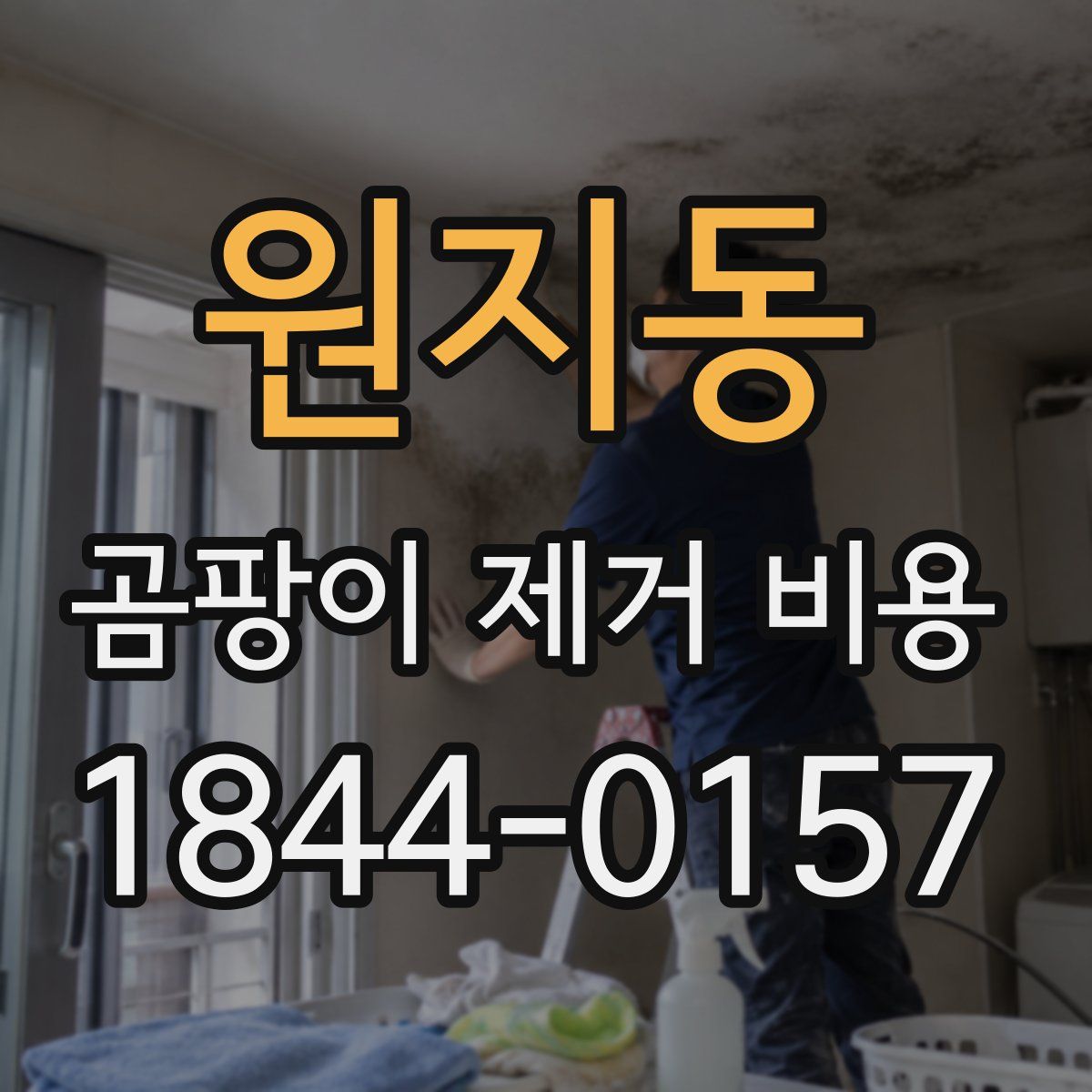 원지동 곰팡이 제거 비용