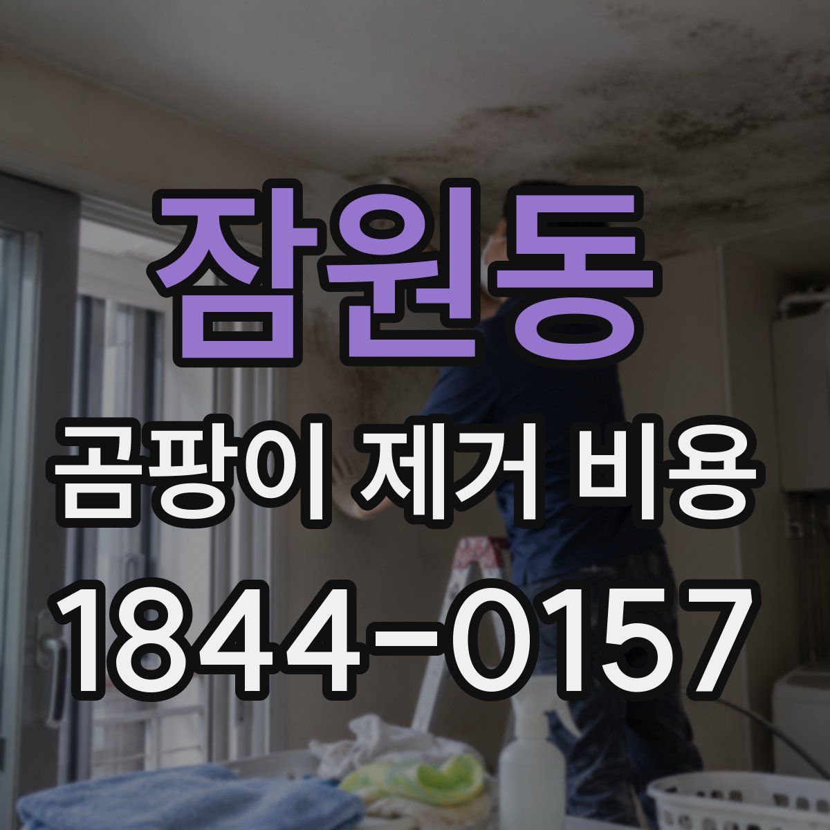 잠원동 곰팡이 제거 비용