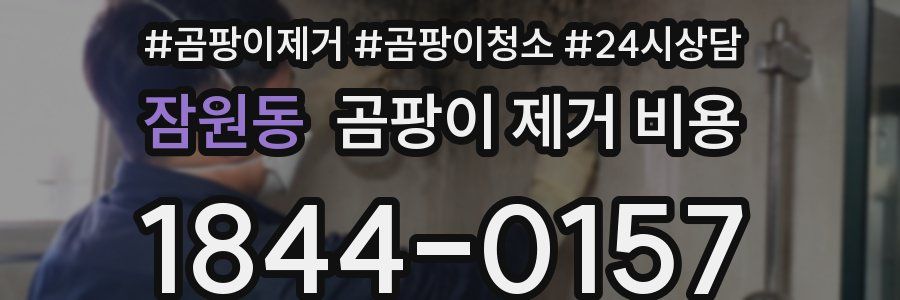 잠원동 곰팡이 제거 비용