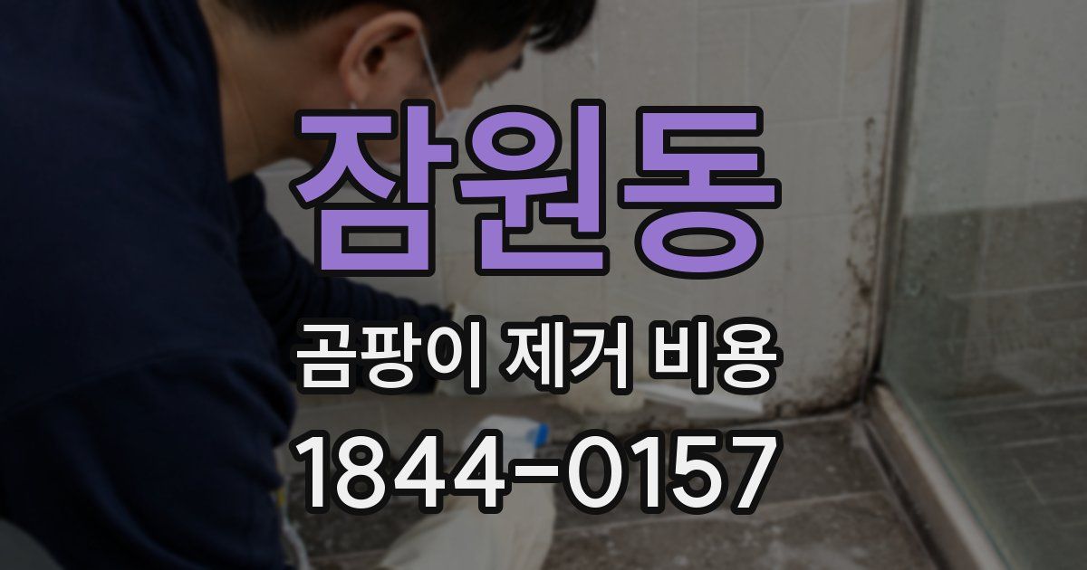 잠원동 곰팡이 제거 비용
