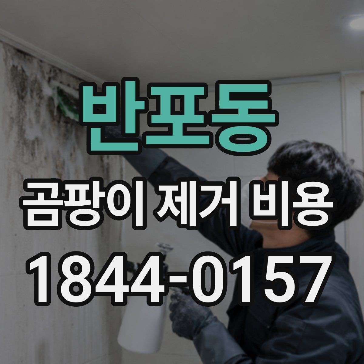 반포동 곰팡이 제거 비용 다세대 건물 공용부와 세대별 차이 살펴보기