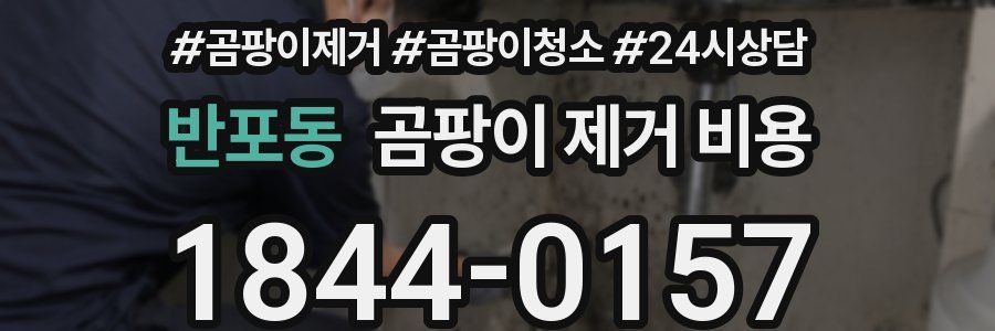 반포동 곰팡이 제거 비용