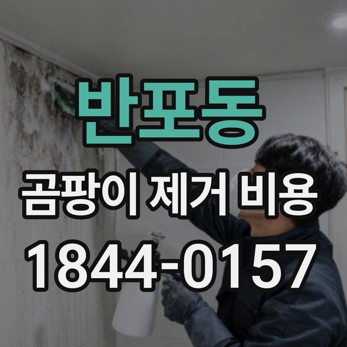 반포동 곰팡이 제거 비용