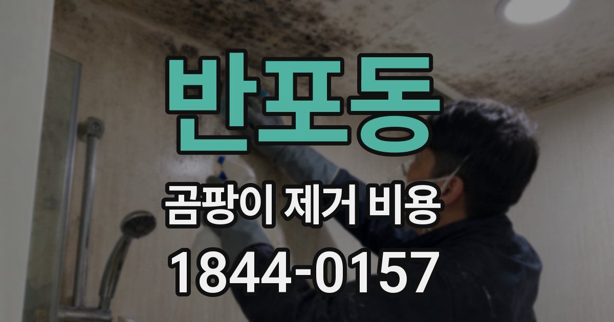 반포동 곰팡이 제거 비용