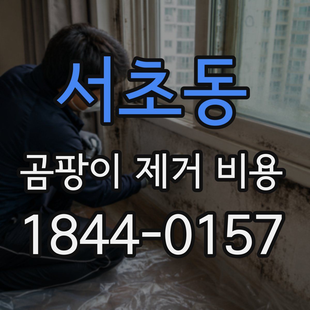 서초동 곰팡이 제거 비용