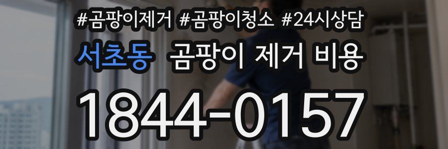 서초동 곰팡이 제거 비용