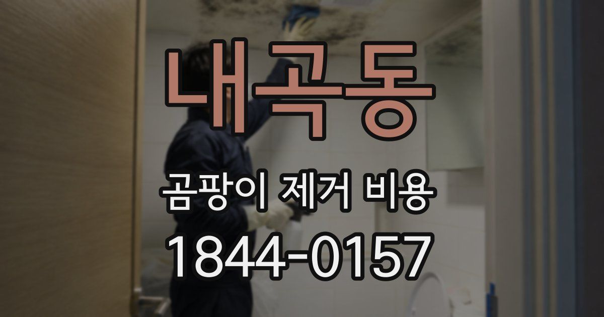 내곡동 곰팡이 제거 비용