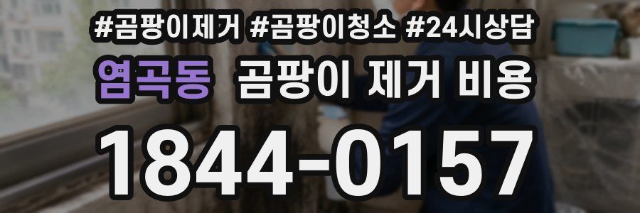 염곡동 곰팡이 제거 비용