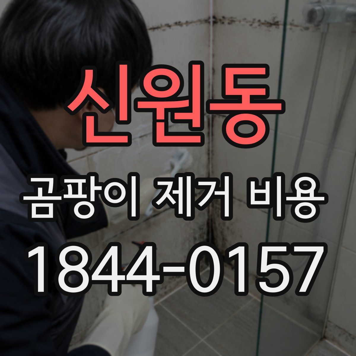 신원동 곰팡이 제거 비용