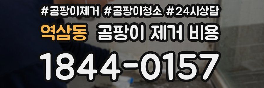 역삼동 곰팡이 제거 비용