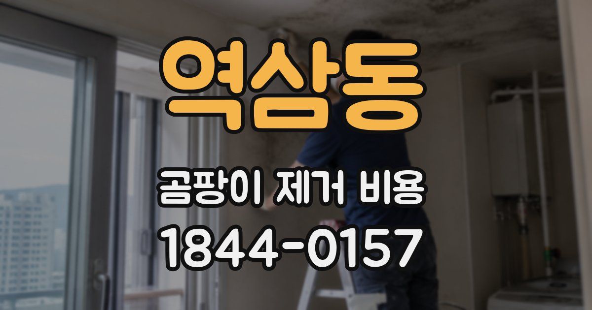 역삼동 곰팡이 제거 비용