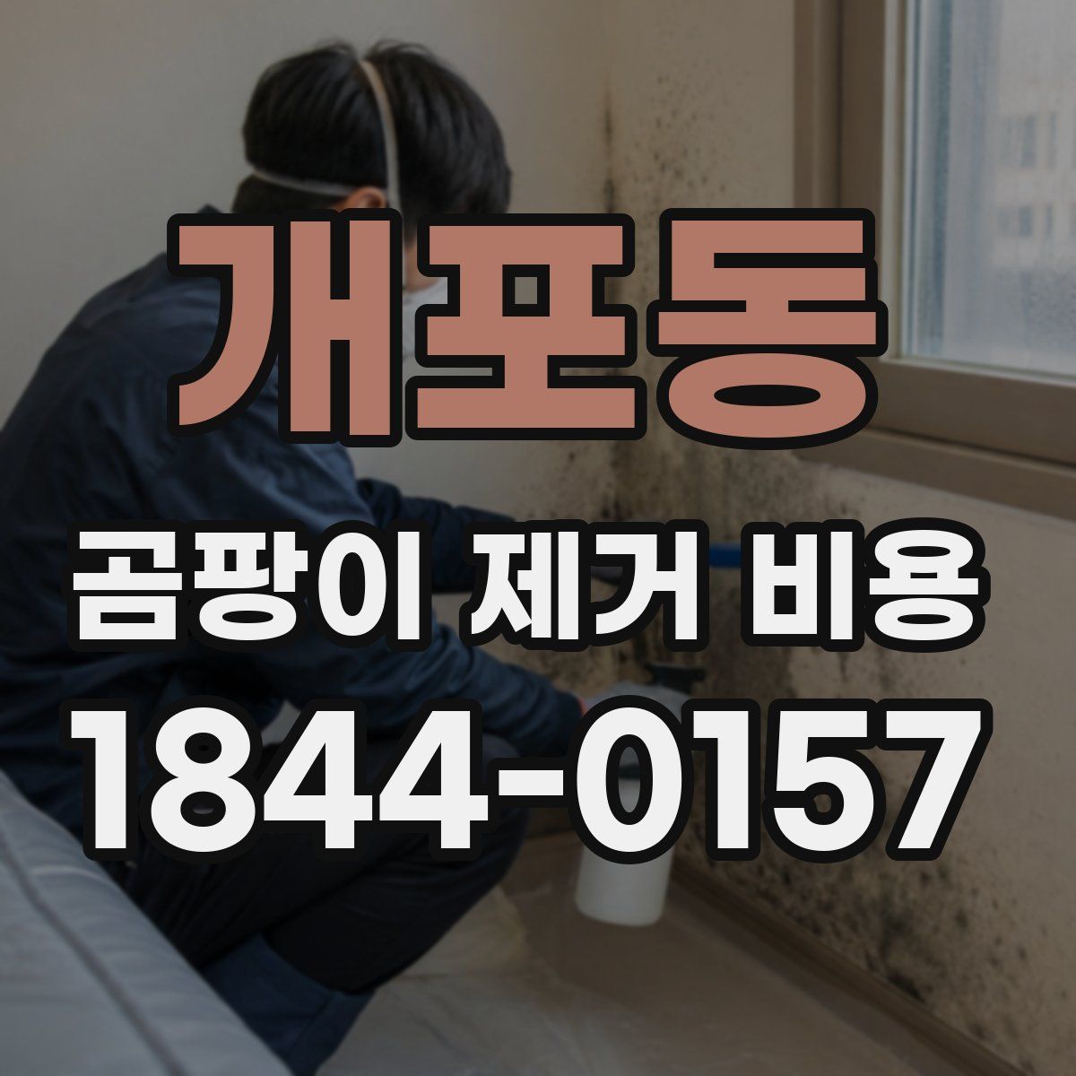 개포동 곰팡이 제거 비용