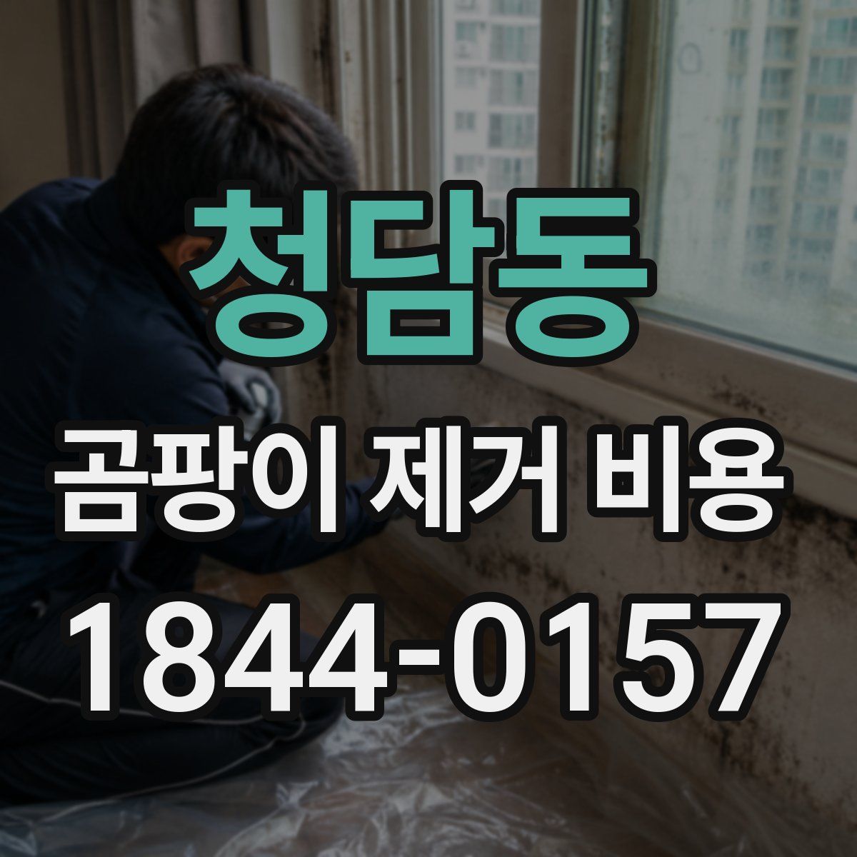 청담동 곰팡이 제거 비용