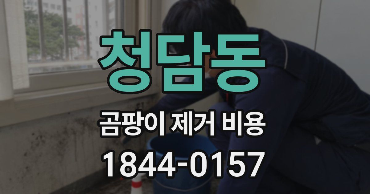 청담동 곰팡이 제거 비용