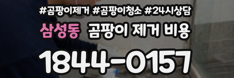 삼성동 곰팡이 제거 비용