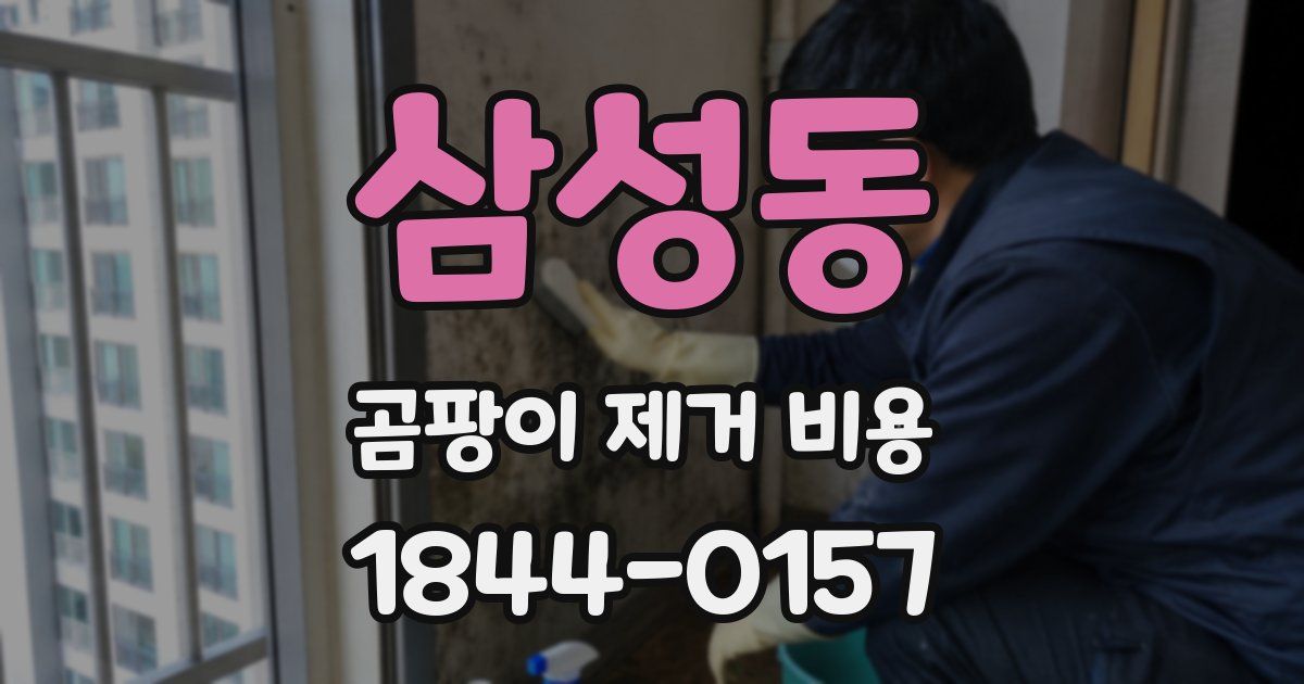 삼성동 곰팡이 제거 비용